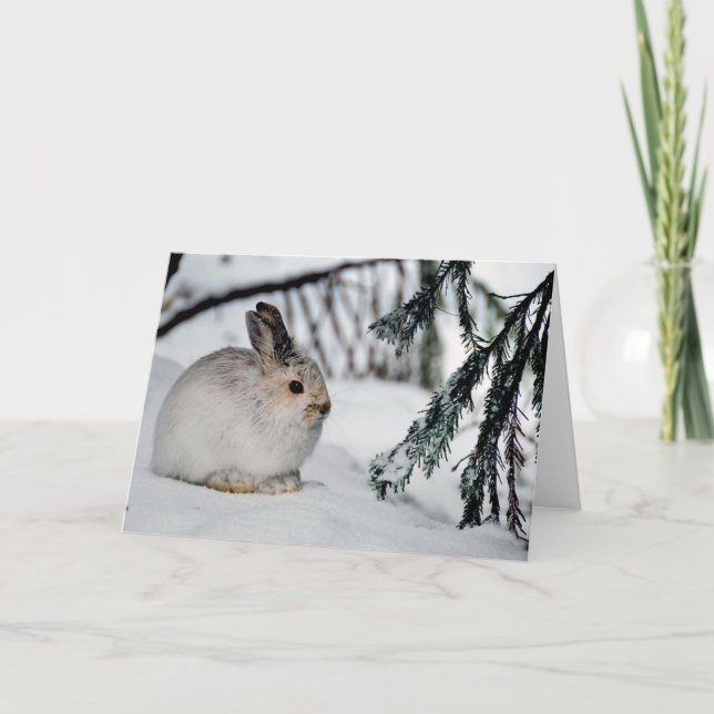 Cartão Snowshoe Hare Winter Snow Nature Cena (Frente)