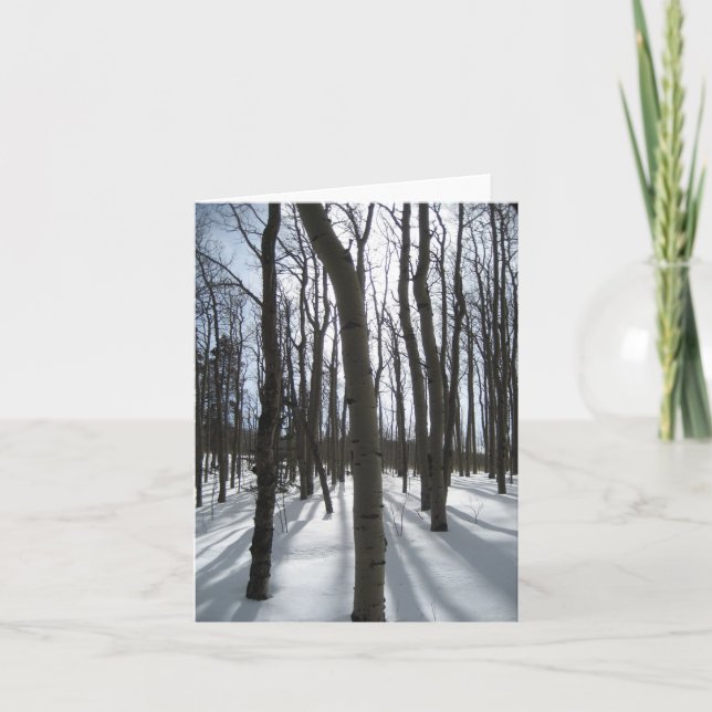 Cartão Snowy Aspens Note Card (Frente)