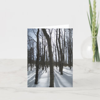 Cartão Snowy Aspens Note Card