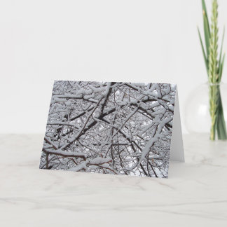 Cartão Snowy Branches