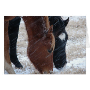 Cartão Snowy Come, Aniversário