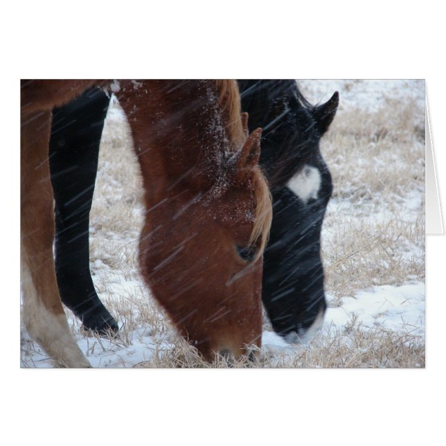 Cartão Snowy Eats (Frente Horizontal)