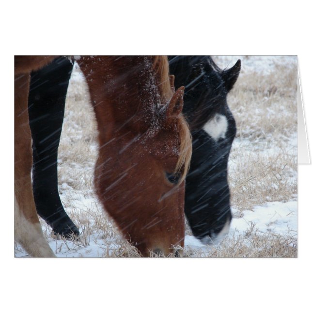 Cartão Snowy Eats (Frente Horizontal)