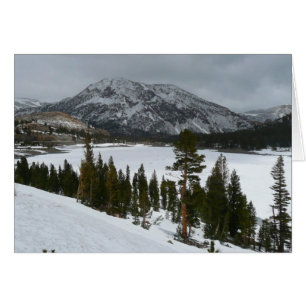 Cartão Snowy Ellery Lake California Fotografia de inverno
