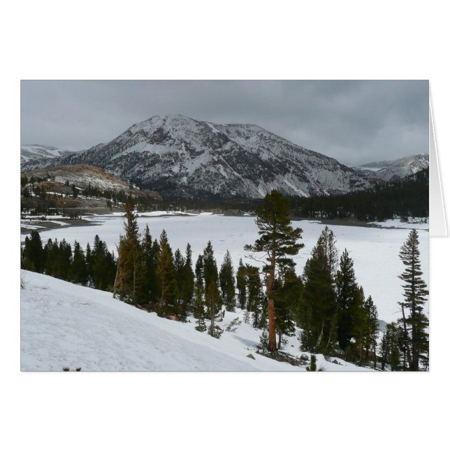 Cartão Snowy Ellery Lake California - Paisagem de inverno (Frente Horizontal)