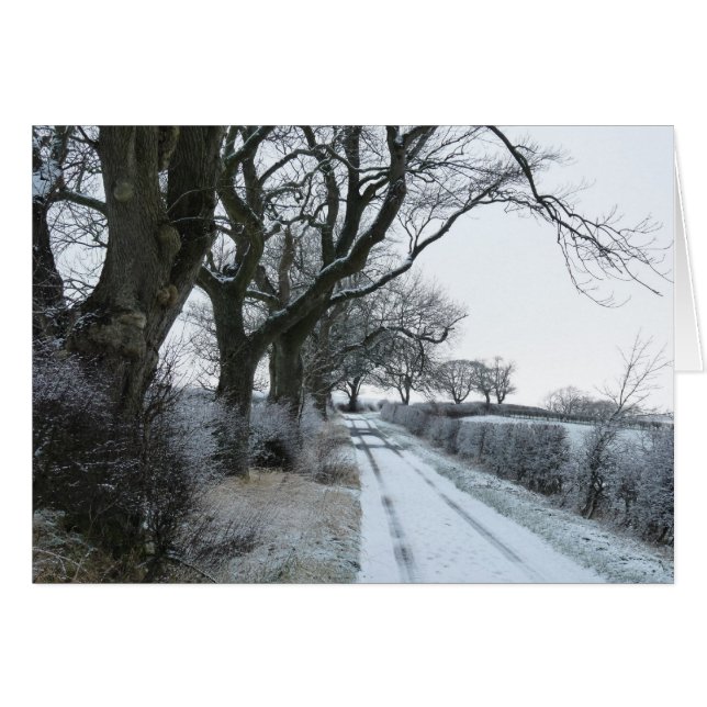 Cartão "Snowy Lane" Northumberland Inglaterra (Frente Horizontal)