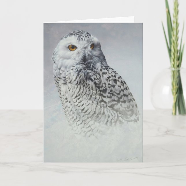 Cartão Snowy Owl Blank Card by Andrew Denman (Frente)