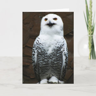 Cartão Snowy Owl gcnm