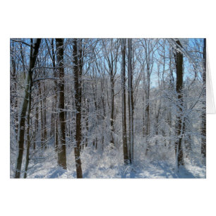 Cartão Snowy Poplar Forest I