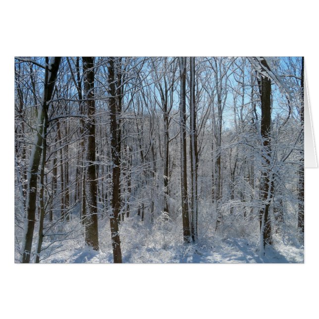 Cartão Snowy Poplar Forest I (Frente Horizontal)