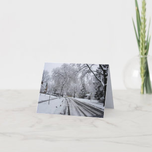 Cartão Snowy Street Pine Trees Winter Scene