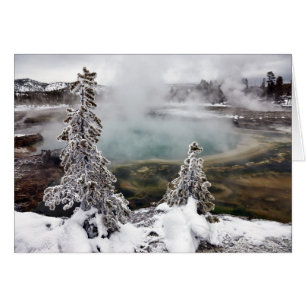 Cartão Snowy Yellowstone