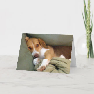 Cartão Snuggle Pup Note Card