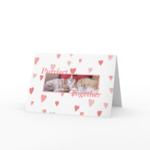 Cartão Snuggling do dia dos namorados dos gatos