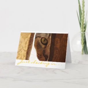 Cartão Só a verificar. . .