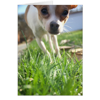 Cartão Só a verificar para dizer olá!