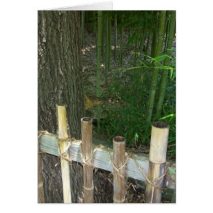 Cartão só por diversão, esquilo sorrateiro é pego