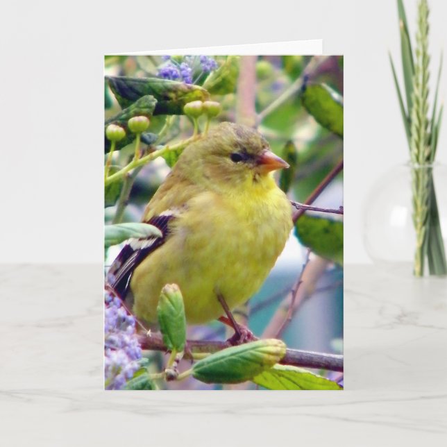 Cartão Só porque (Frente)