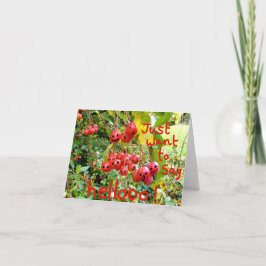 Cartão Só quero dizer Hellooo!