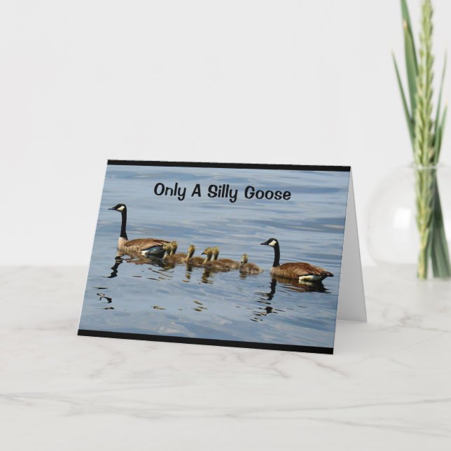 Cartão Só Um Ganso Bobo Esqueceria Seu Aniversário! (Frente)