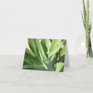 Cartão Soando o Sol v2