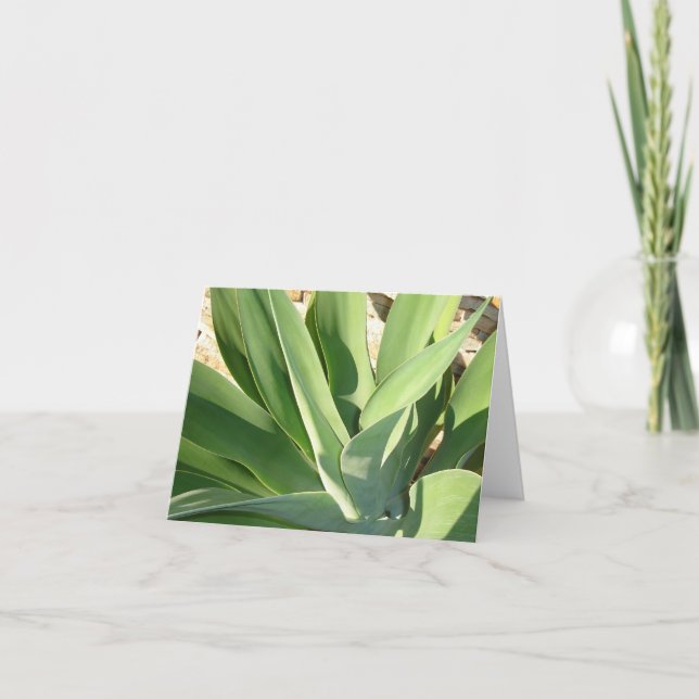 Cartão Soando o Sol v2 (Frente)