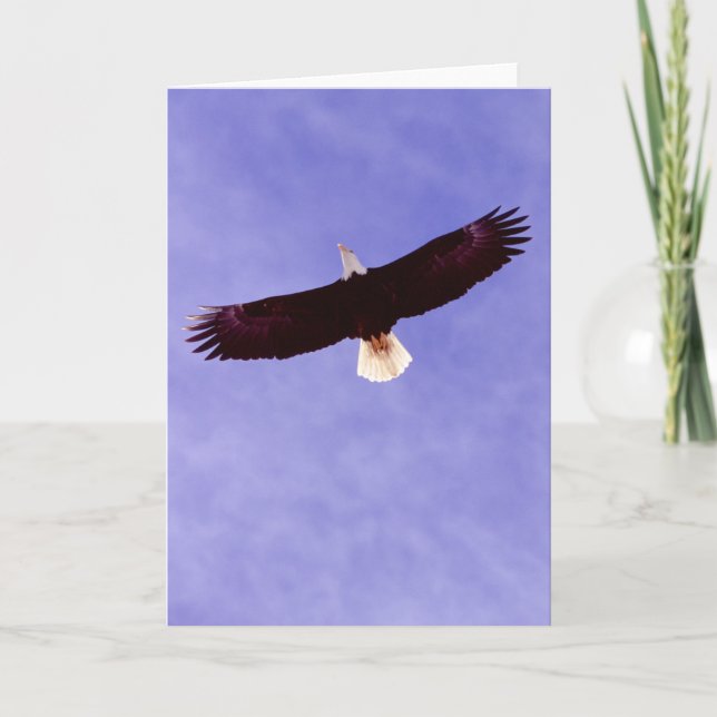 Cartão Soaring Eagle Greeting Card (Frente)