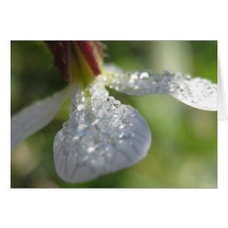Cartão Sob a minha placa guarda-chuva