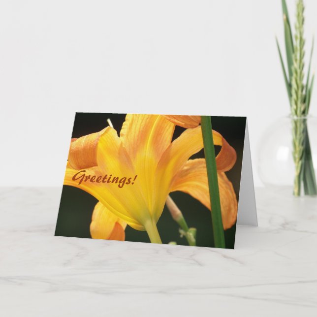 Cartão Sob o Sol, Saudações! (Frente)