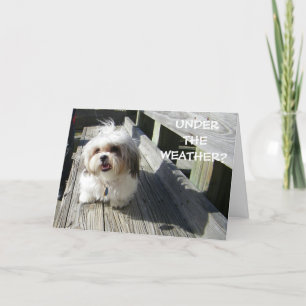 CARTÃO SOB O TEMPO?