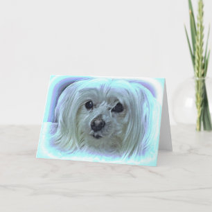 Cartão Sobre O Arco-Íris