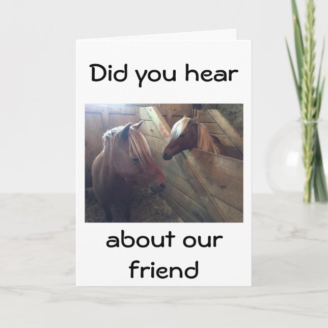 CARTÃO SOBRE O HILL HUMOR DE DOIS CAVALOS FALANDO (Frente)