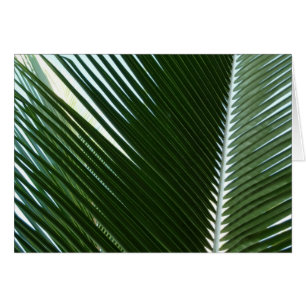 Cartão Sobreposição das bordas das palmas Abstrato Verde