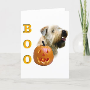 Cartão Soft Coated Wheaten Terrier Boo