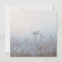 Cartão Soft Frosty Morning Nature