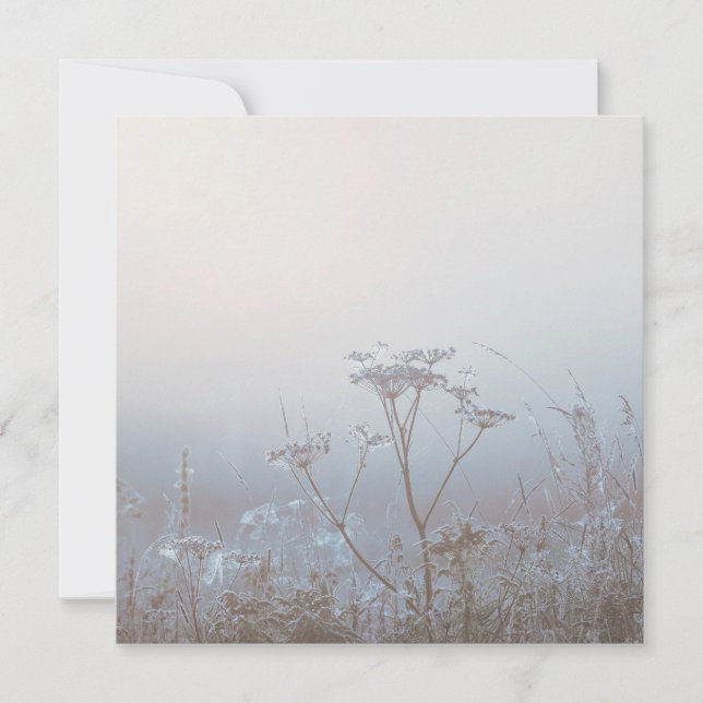 Cartão Soft Frosty Morning Nature (Frente)