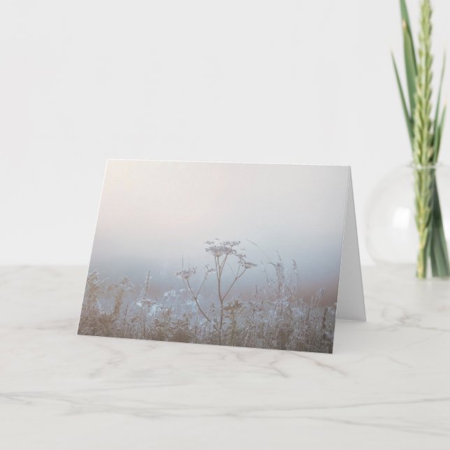 Cartão Soft Frosty Morning Nature Sympathy (Frente)
