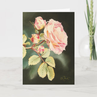 Cartão Soft Pink Rose Greeting Card