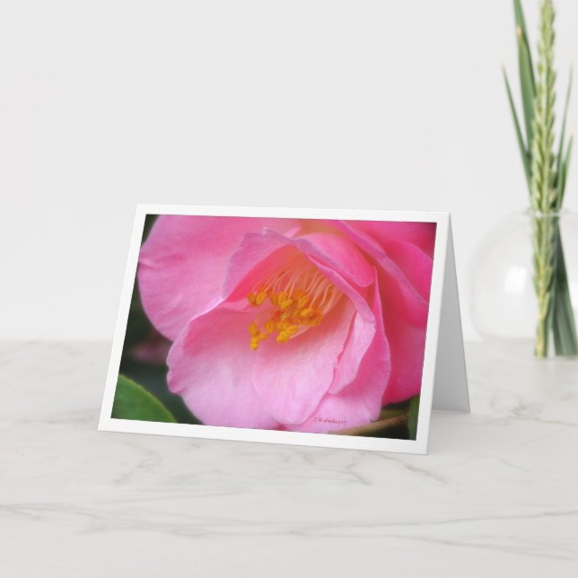Cartão Soft rose camelia side view (Frente)