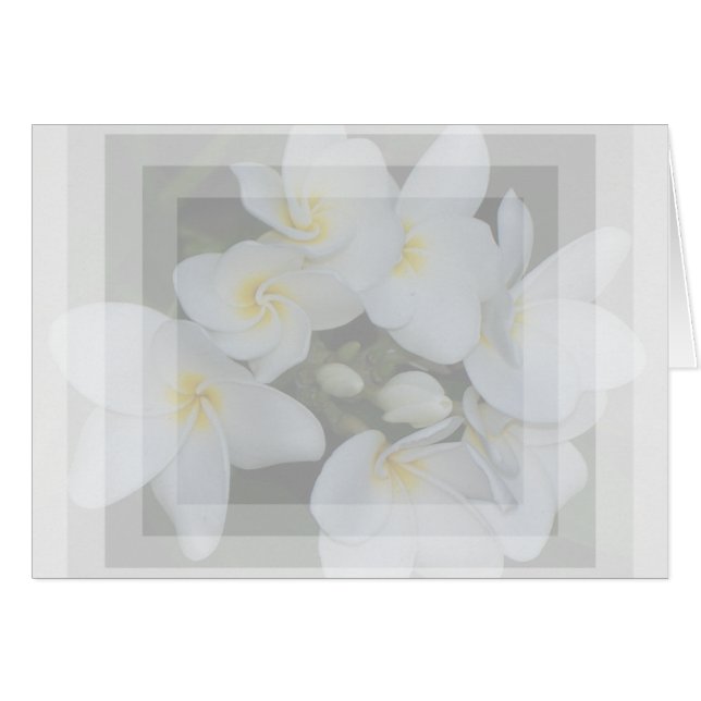 Cartão soft&sweet (Frente Horizontal)