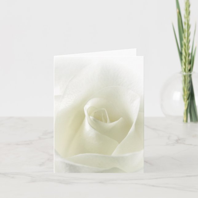 Cartão Soft White Rose Note Card (Frente)