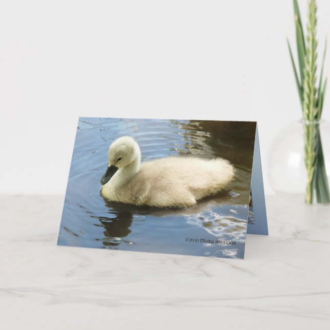 Cartão Softness of a Child (Frente)