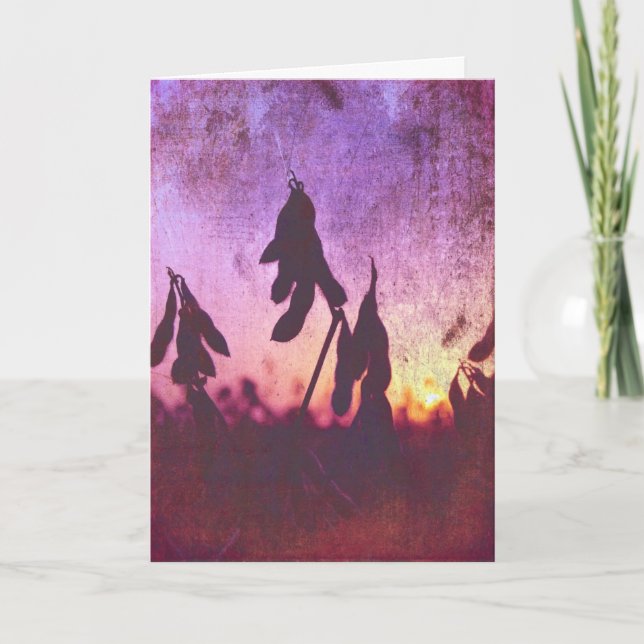 Cartão Soja Sunset Grunge, Aniversário (Frente)