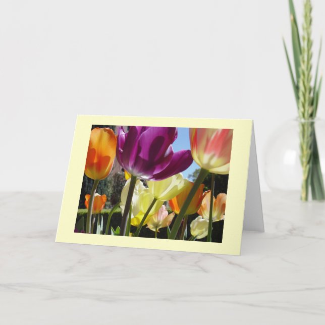 Cartão Sol (Frente)