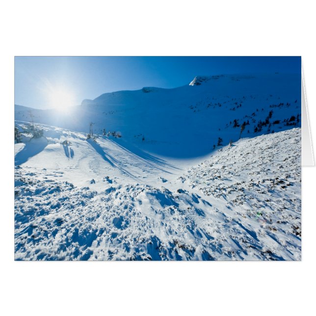 Cartão Sol de inverno (Frente Horizontal)