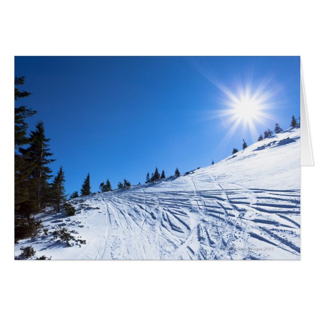 Cartão Sol de inverno 4 (Frente Horizontal)