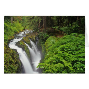 Cartão Sol Duc Falls no Parque Nacional Olímpico em 2