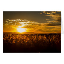 Sol na África do Sul