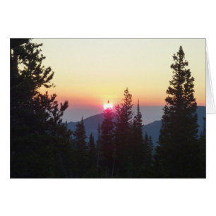 Cartão Sol na Floresta na Montanha Rocky
