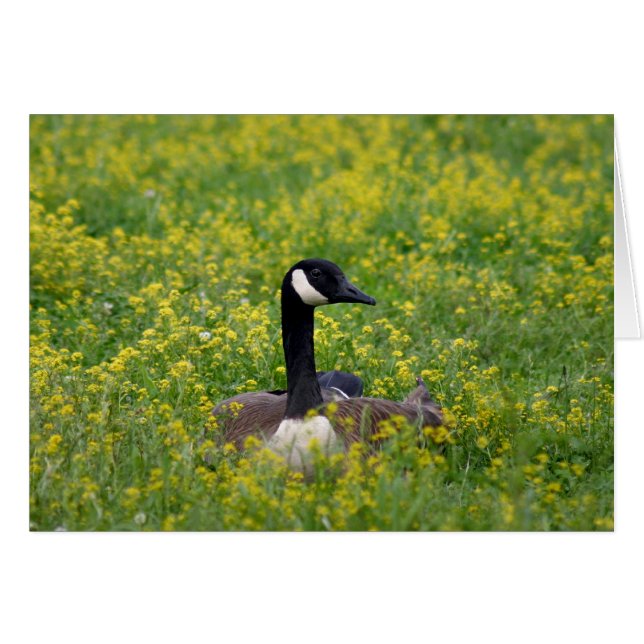 Cartão solidão (Frente Horizontal)